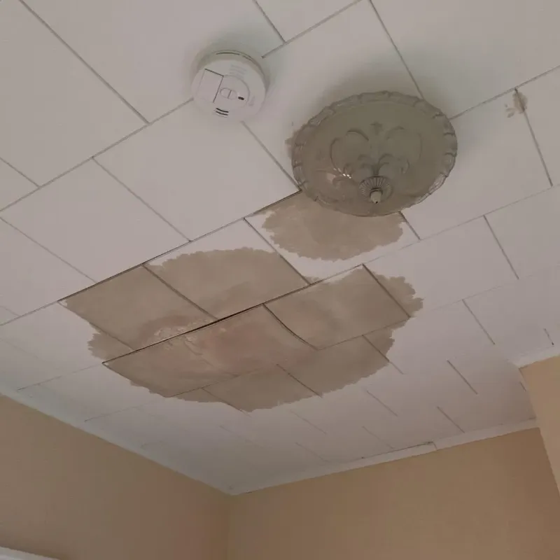 Ceiling Water Damage Repair in Hampton, NJ