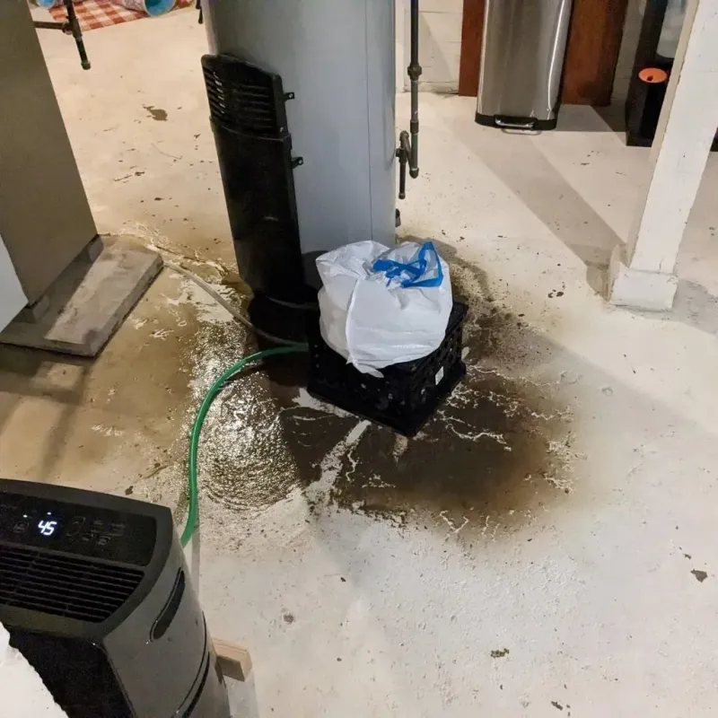 Sewage Backup Cleanup Service in Hampton, NJ